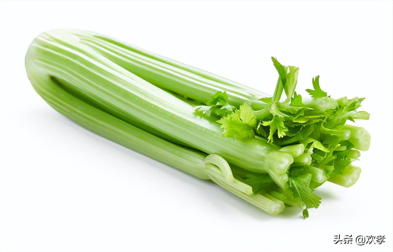 肝病患者春季就吃七种蔬菜养肝,早上是养肝黄金期多吃六种蔬菜