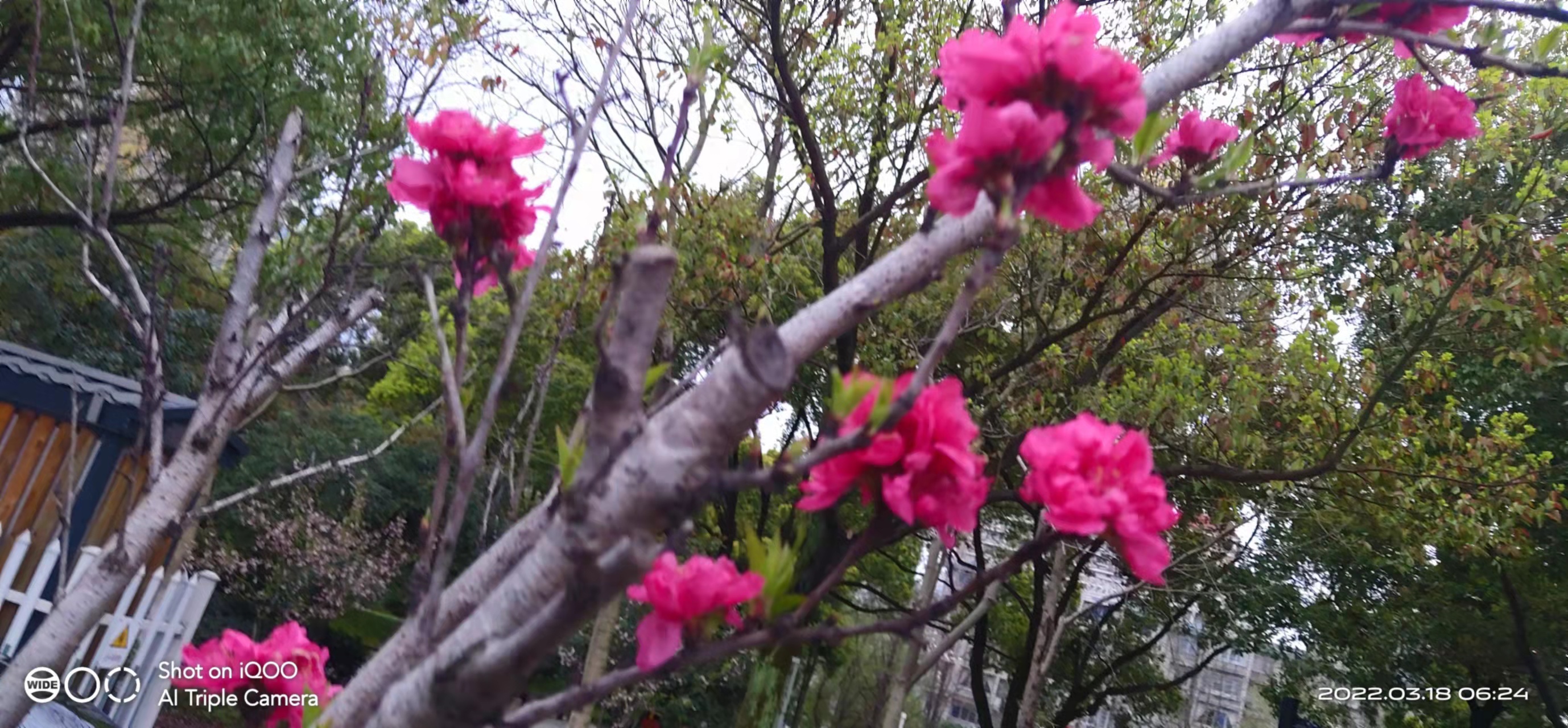 萧山风景拍照打卡地,萧山网红打卡景点春季