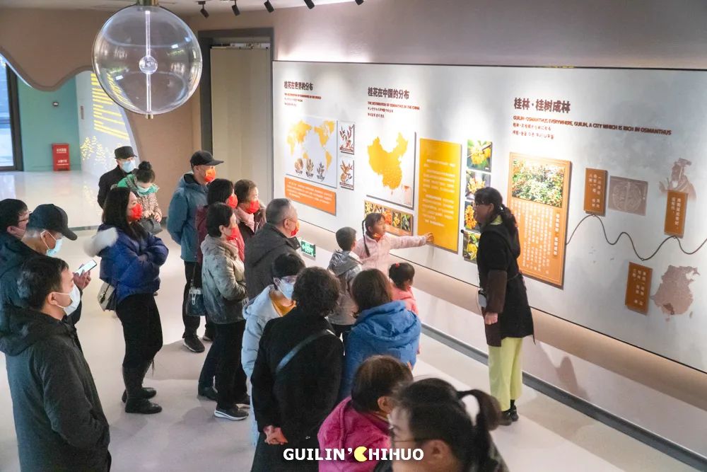 妗傛灄缇庨琛楁鑺辩硶,妗傛灄姝ｉ槼姝ヨ琛楃編椋熸鑺辩硶