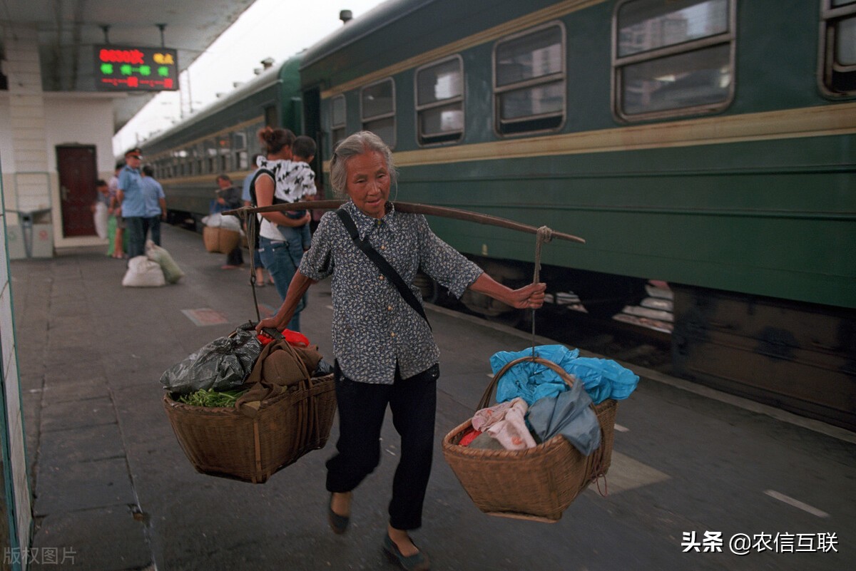 运费对玉米价格影响,玉米运费下调百分之五十是真的吗