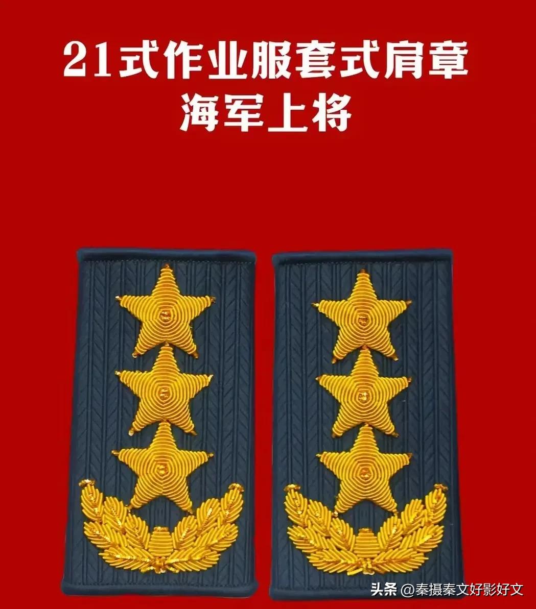 陆海空火箭军*警武**部队全套常服肩章和21式作业服套式肩章