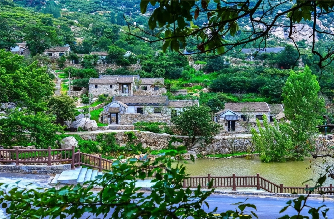 沂蒙乡村振兴学习感悟,乡村振兴看沂蒙专题