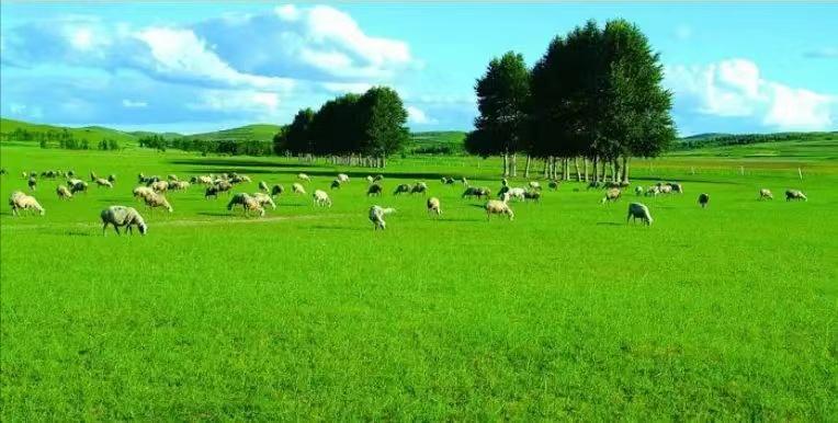 全国生态环境质量改善,中国生态环境持续向好森林覆盖率