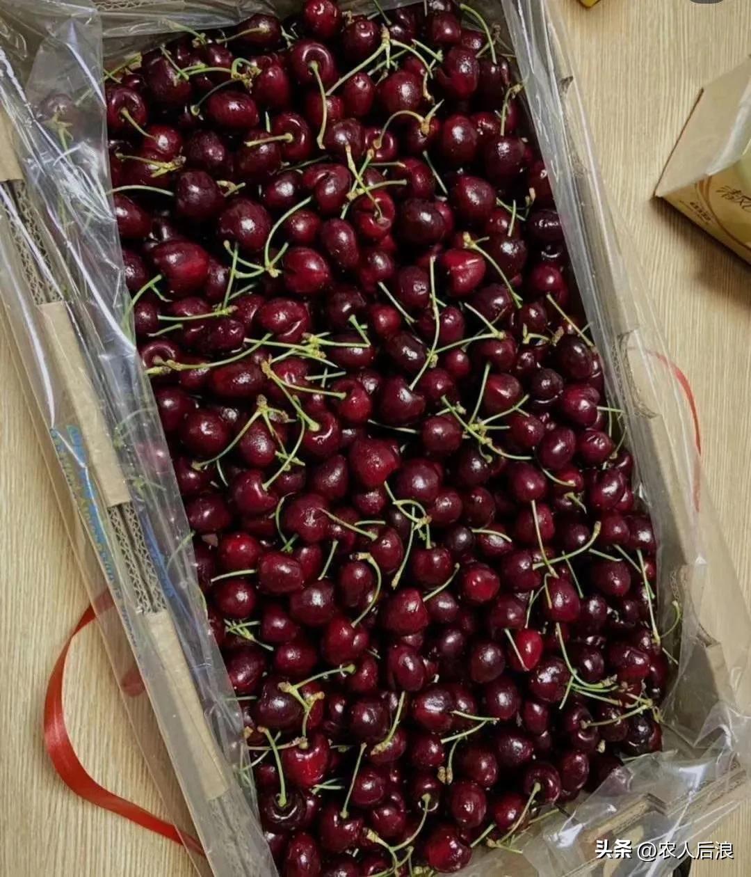 智利车厘子如何保鲜,车厘子过海怎么保鲜