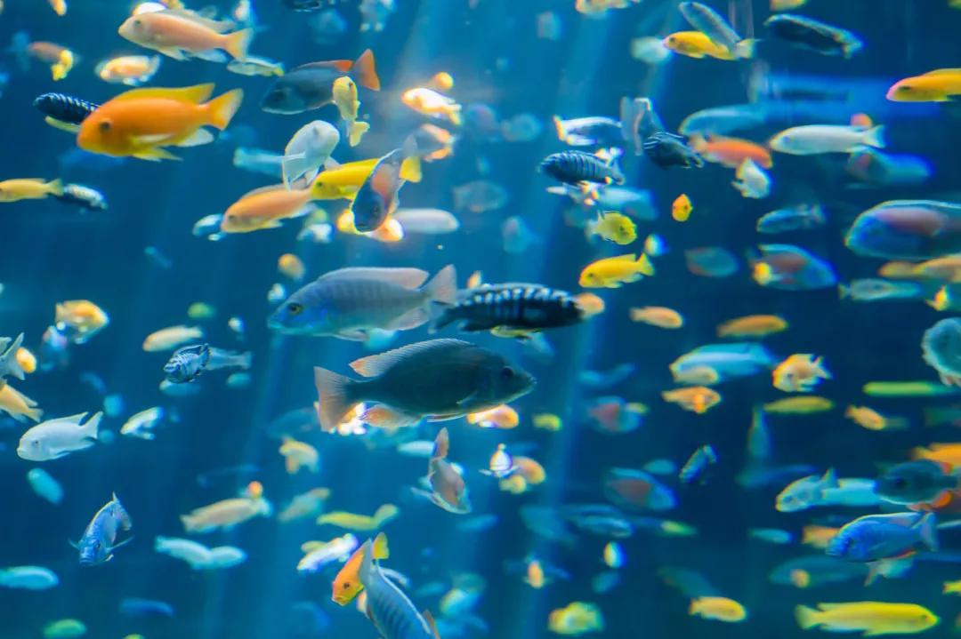 郑州春节遛娃游玩排行榜前十名,郑州周末遛娃好去处室内