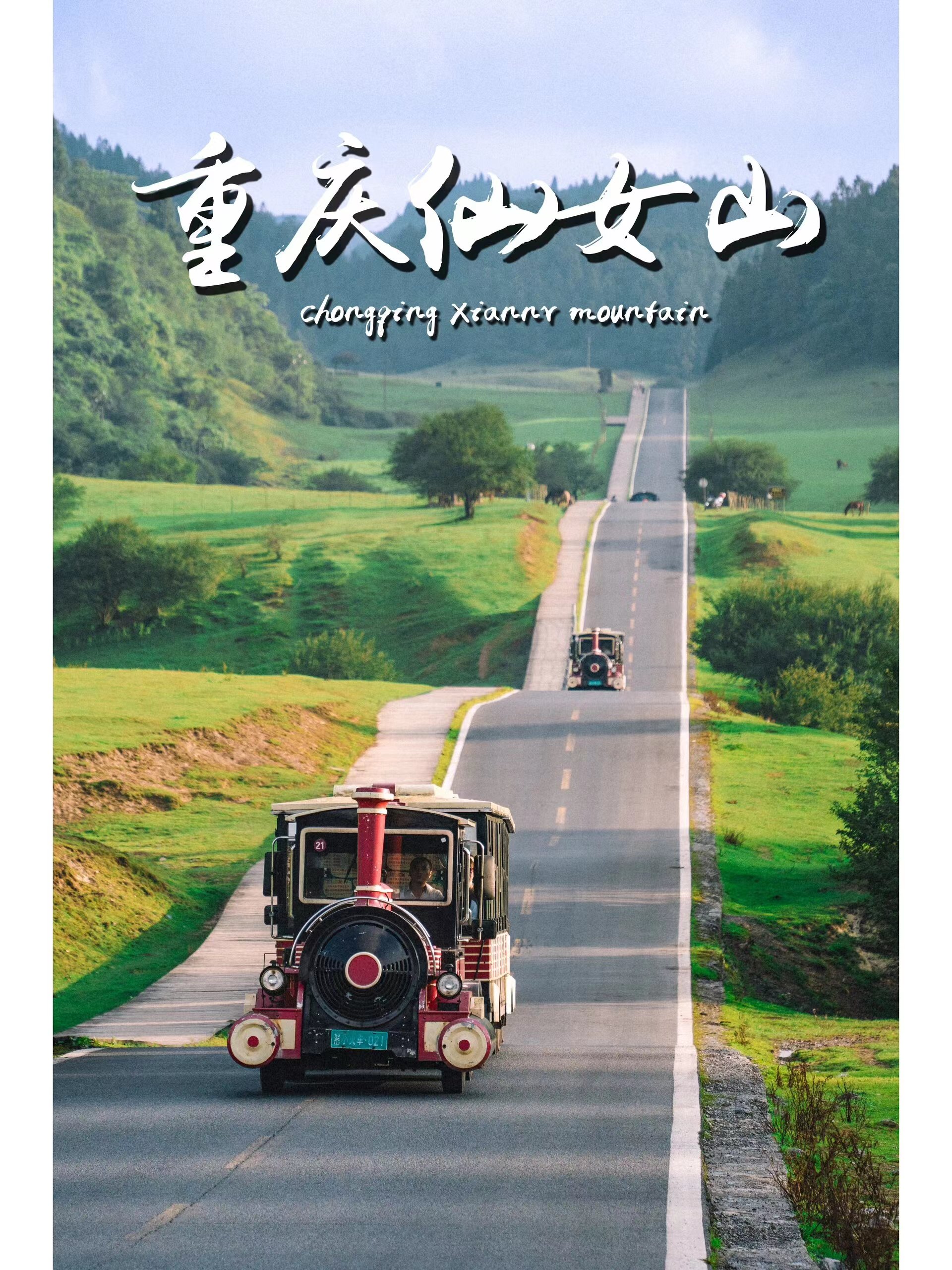 去重庆旅游好评靠谱的旅行社有哪些？