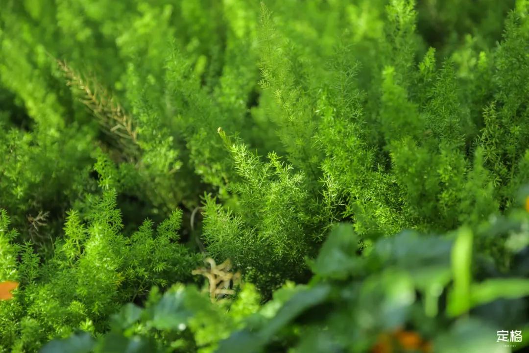 深圳百米长「纯白登山梯」，打卡绝了