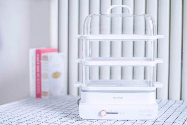 透明电蒸锅有必要买吗,不锈钢电蒸锅和透明电蒸锅哪个好