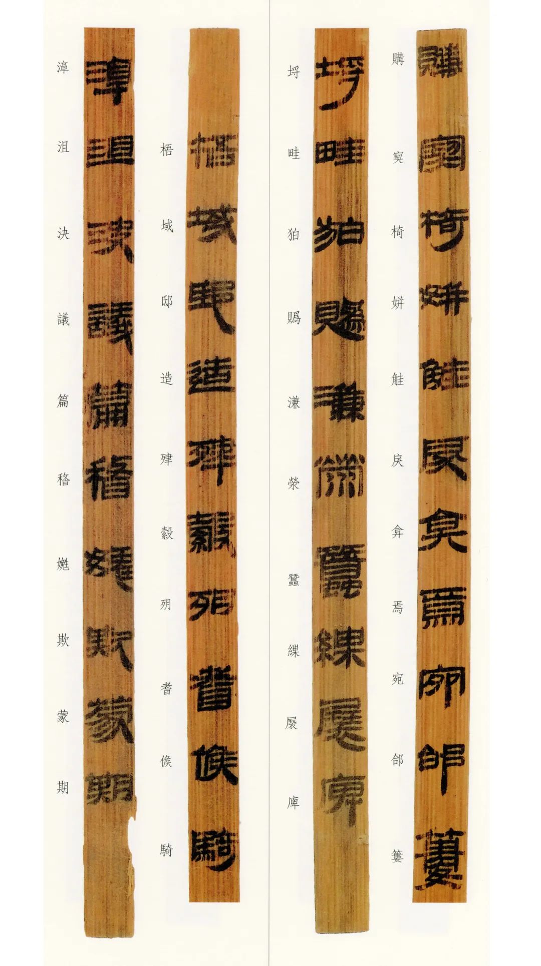 西汉竹书,西汉竹简草隶书法作品