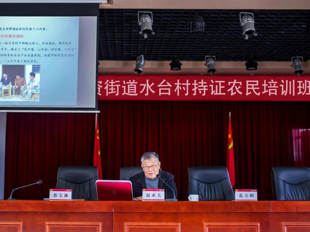 水台镇农村,描绘乡村振兴新蓝图