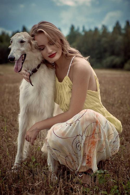 putdown的短语,putdown的用法及短语