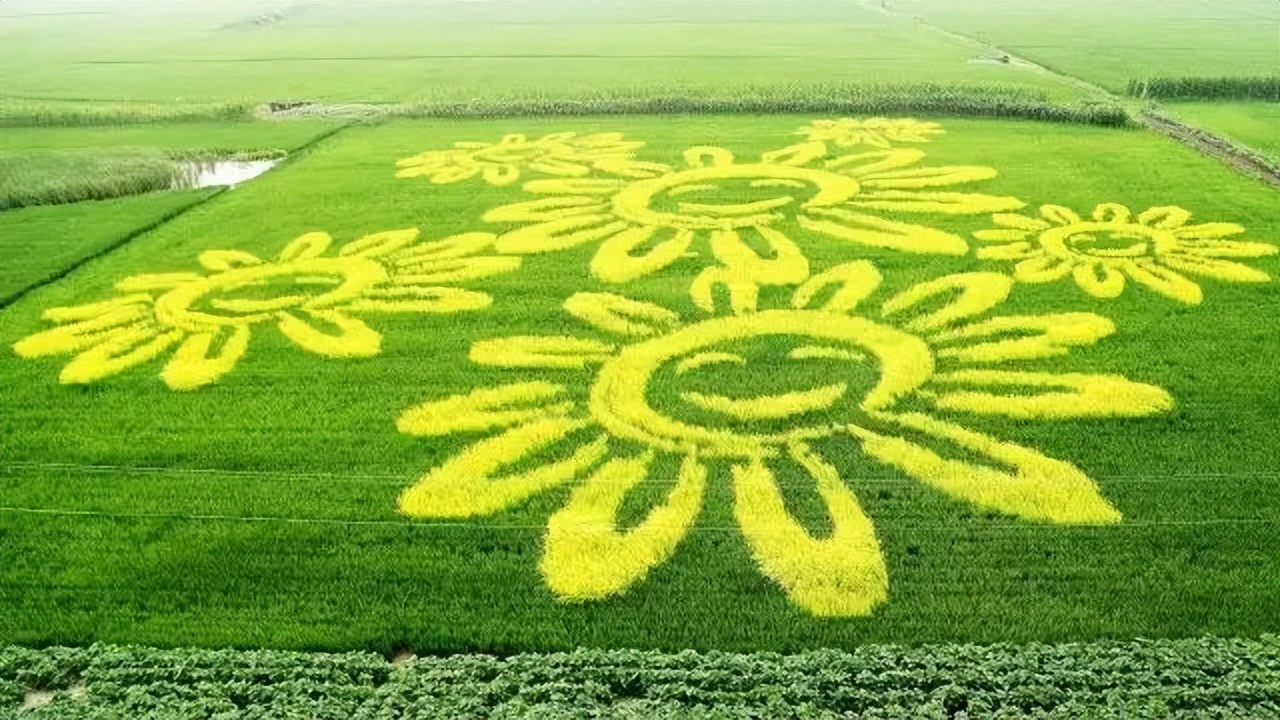 休闲农业可以开发哪些创意,休闲农业规划十大秘诀