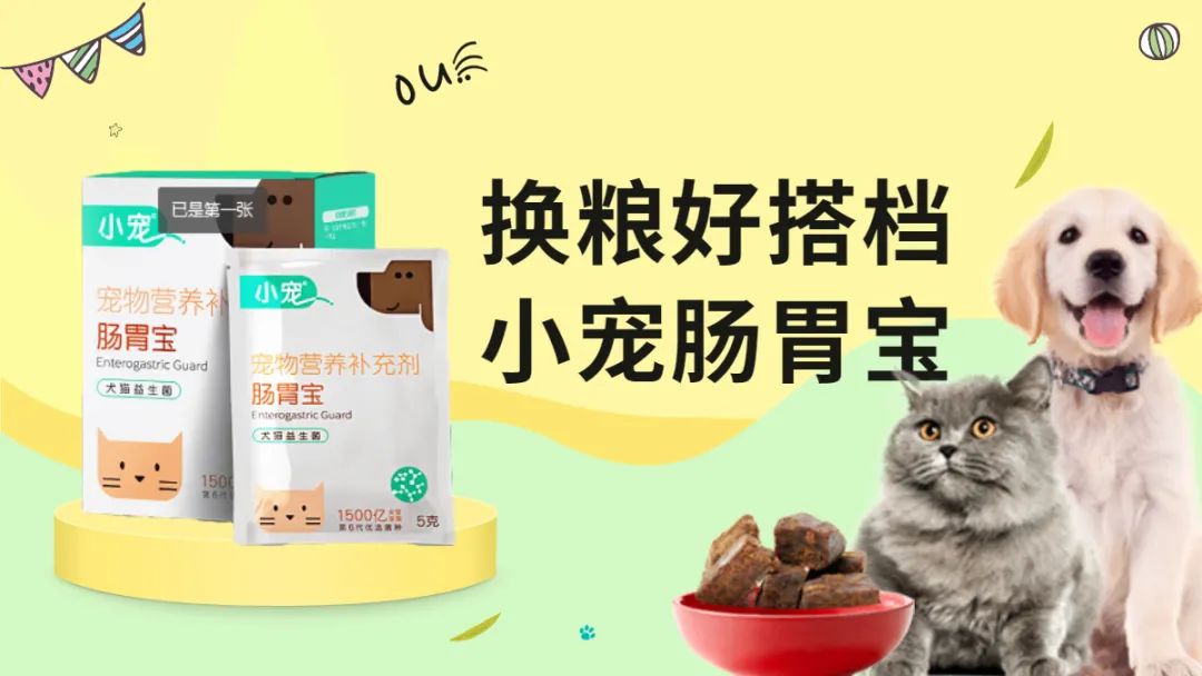 新手常见的害猫行为,看似爱猫实测害猫的五个行为