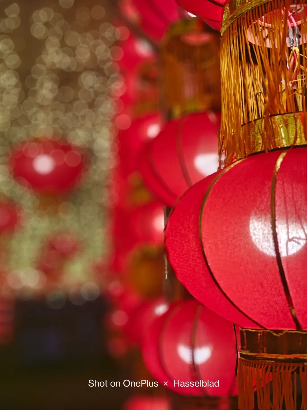 一加11拍照到底怎么样最新评测,一加11拍照远摄表现