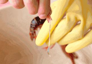 小龙虾什么部位不能吃,麻辣小龙虾头怎么吃