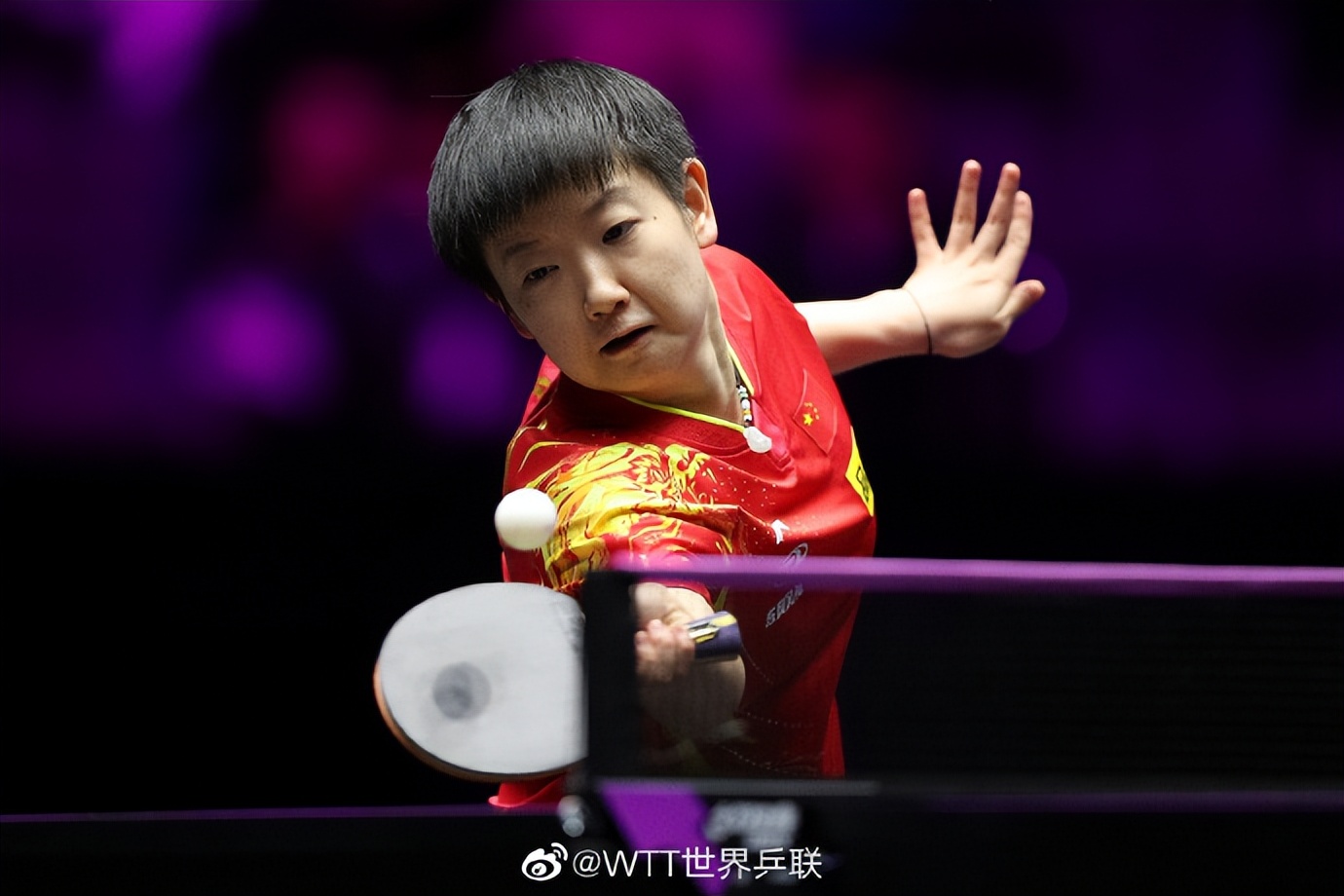 澳门世乒赛16强名单,澳门赛16强