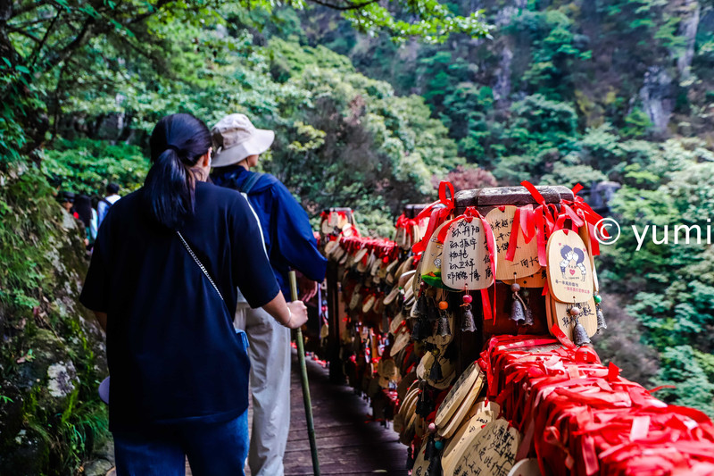 武功山的云中草原,武功山旅游攻略雪景