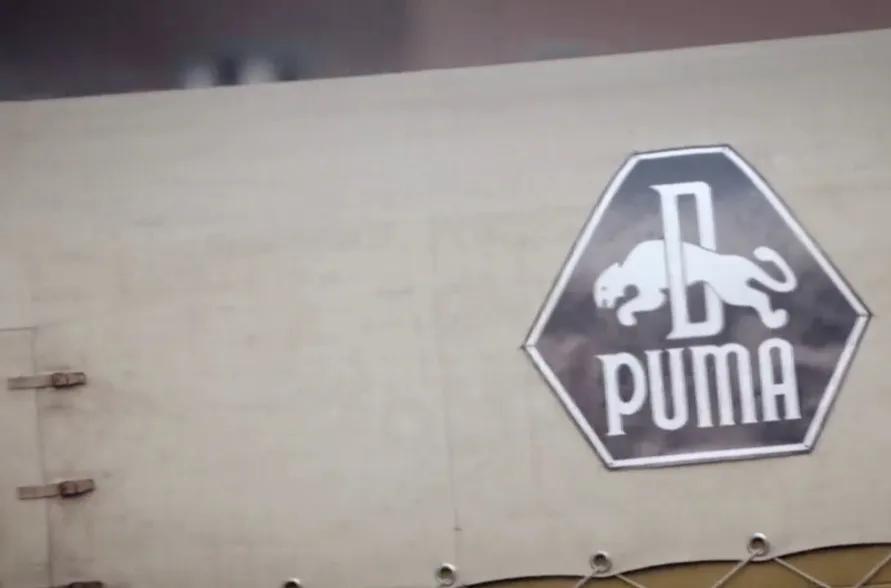 彪马和阿迪达斯是亲兄弟吗,阿迪达斯和彪马都是德国品牌吗