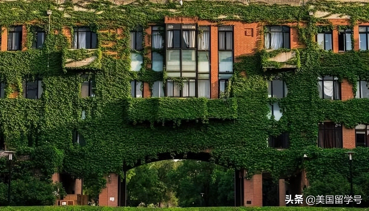 大学专业选择,大学专业选择指南