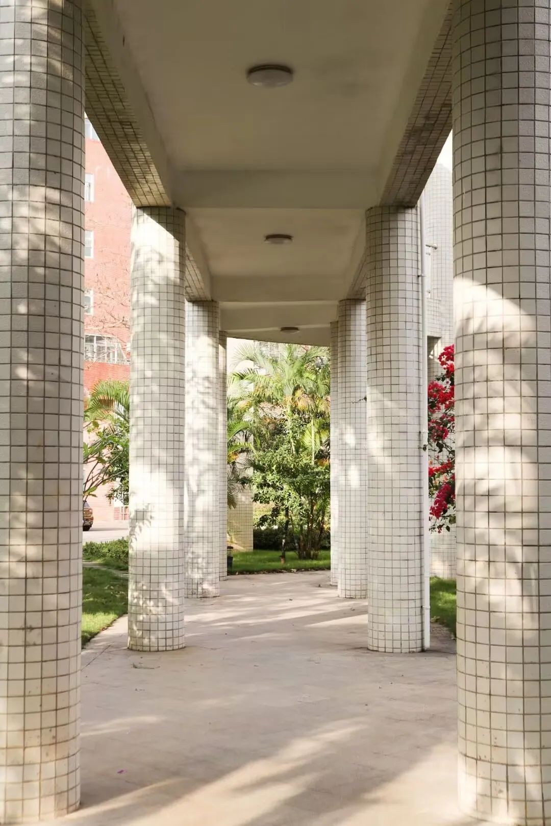 海南大学招生章程,海南大学2019全日制招生简章