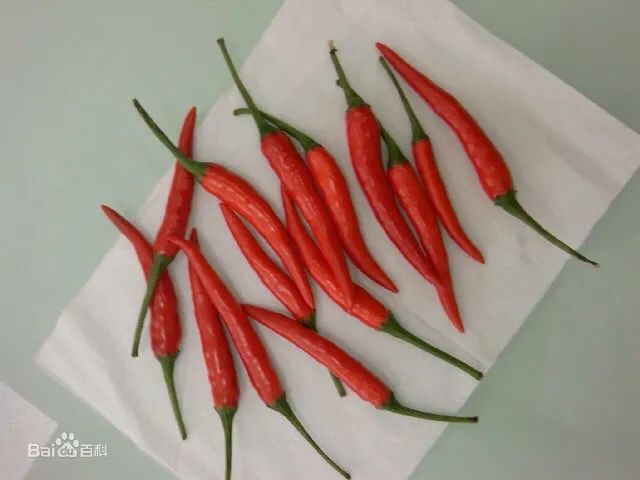 最辣的辣椒全球,全球超辣辣椒