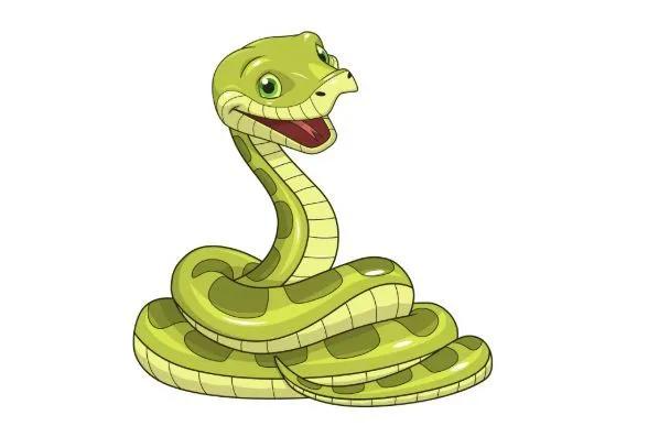 蛇遇蛇会怎么样,蛇弱点是什么