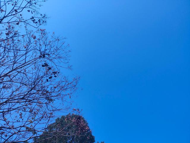 realmeq3s上手体验,realmeq3s深度评测