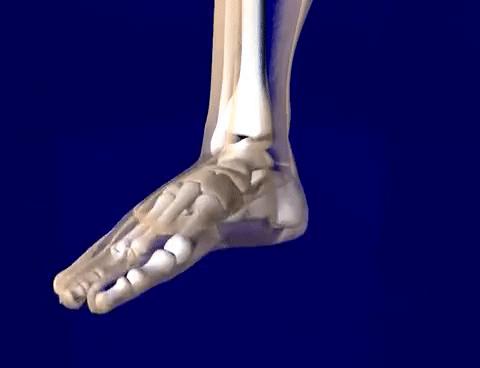 2022年稳定支撑跑鞋排行,2023稳定支撑跑鞋推荐