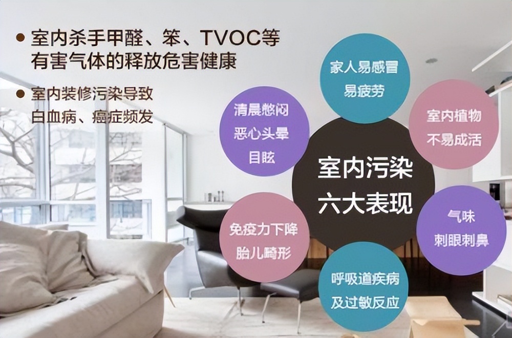 新房装修除甲醛什么植物最好,新房装修入住如何除甲醛