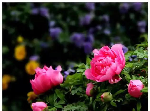 这个季节去哪里玩最合适昆明周边,昆明周边过年旅游推荐