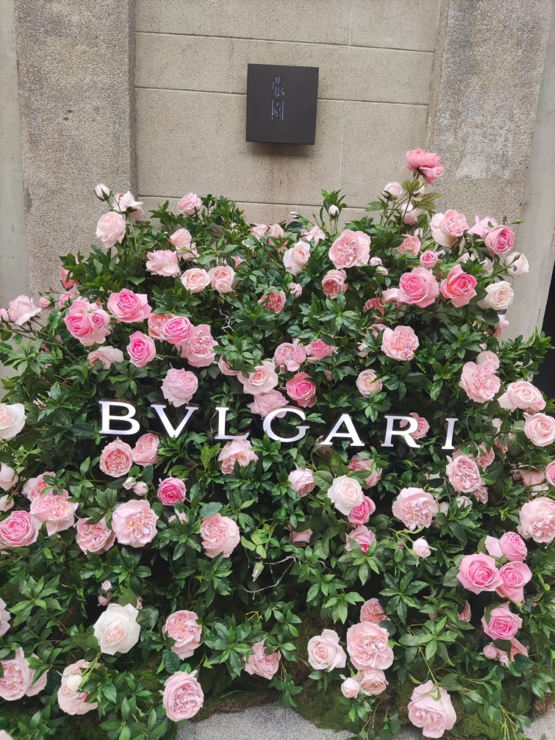 奢侈品偏爱太古？张园一出手竟是王炸组合