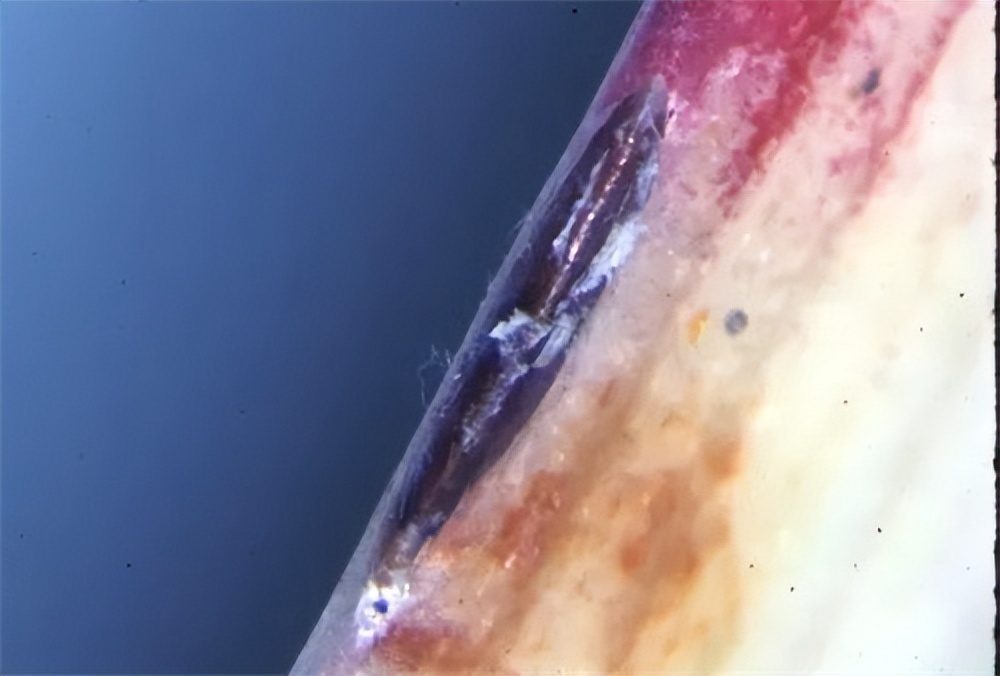 进口水果检疫需要哪些材料,进口农产品检疫规定