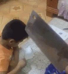 狗子看猫咪很轻松地就上去了，也学着来，结果把猫咪的窝给砸了