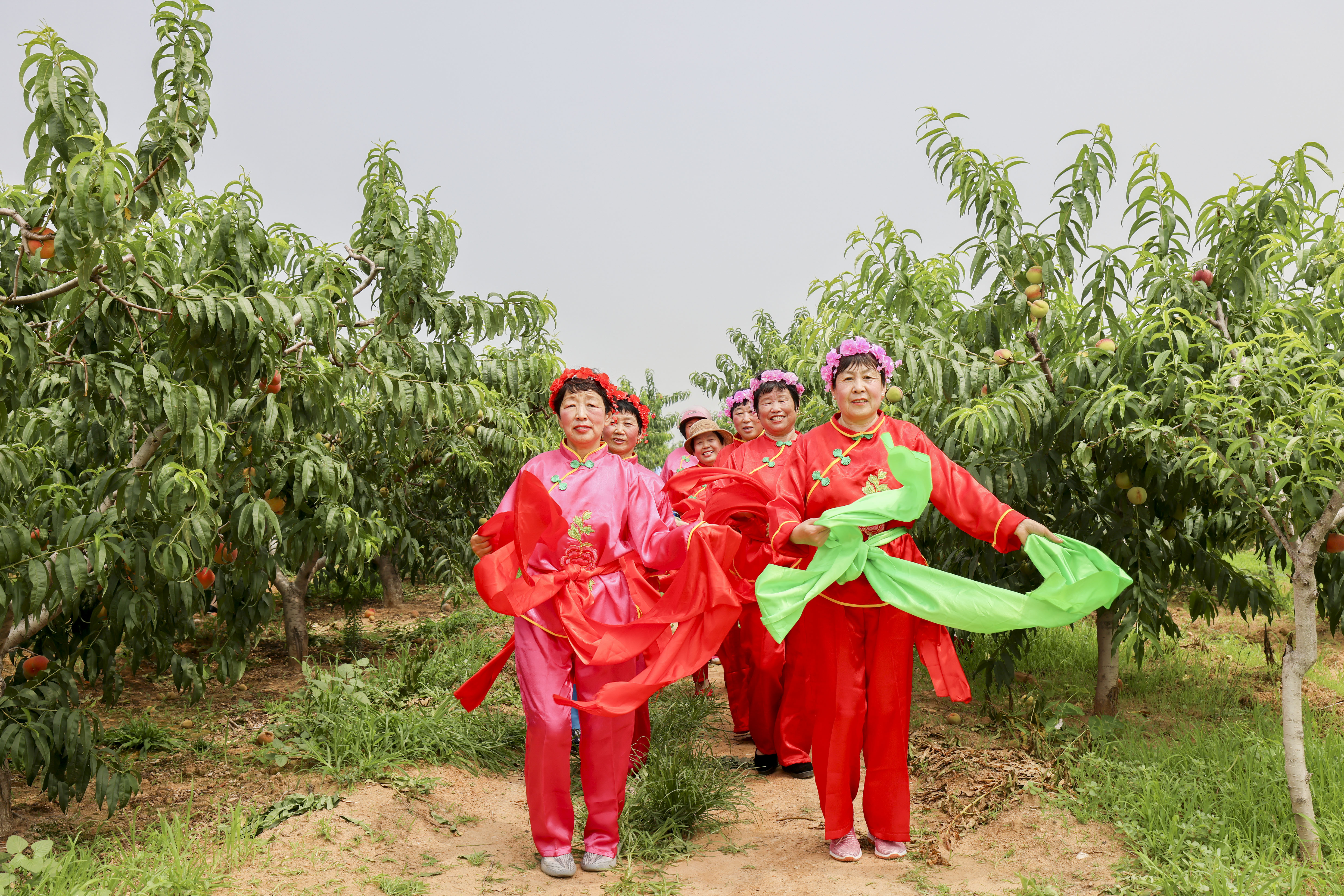 春有桃花源艺术节，夏有蜜桃采摘季，蜜桃成徐村乡村振兴新名片
