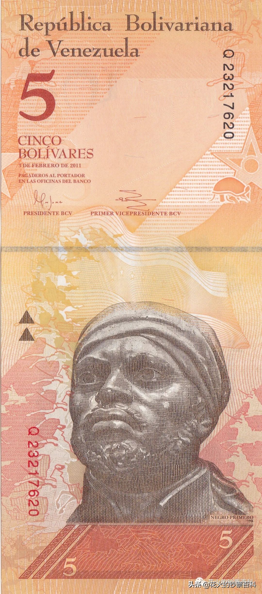 委内瑞拉二元纸币,委内瑞拉50000元纸币解析
