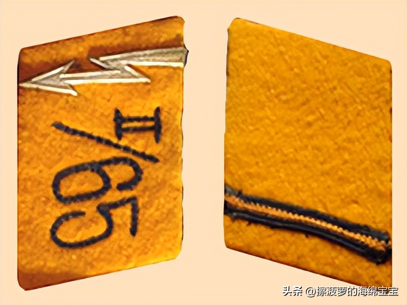 纳粹冲锋队用的什么枪,纳粹德军军衔图解