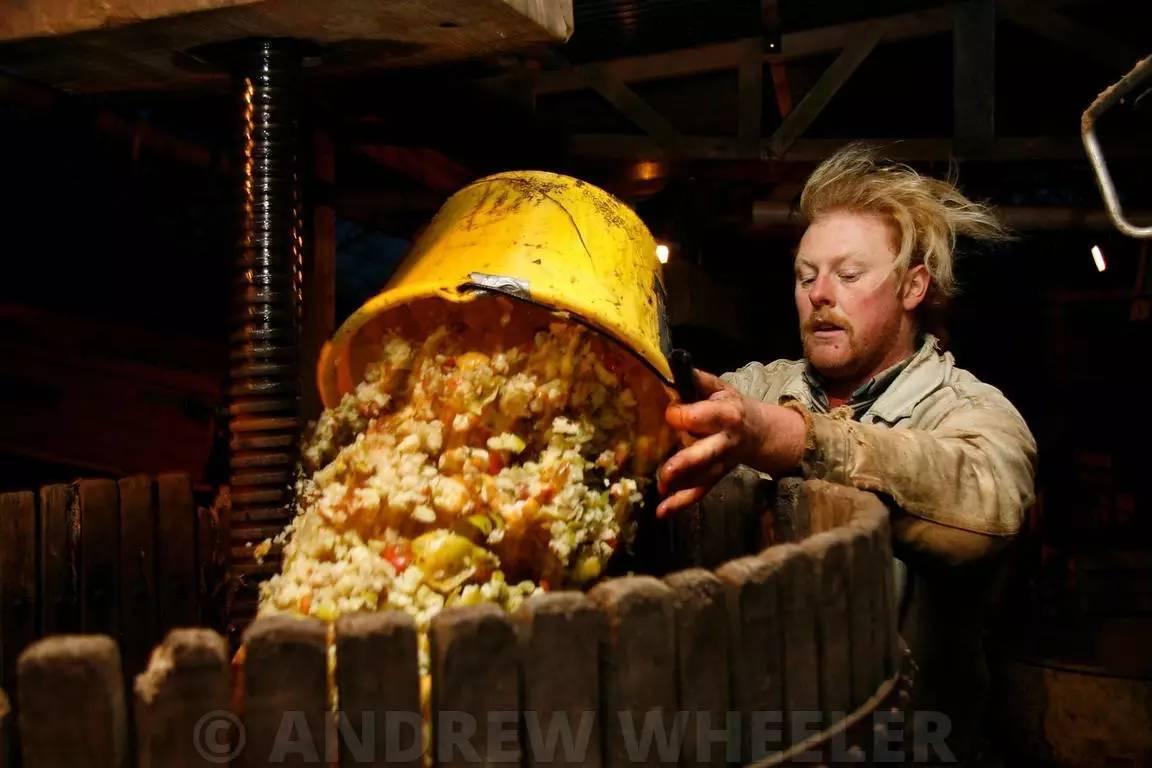 世界第一大果酒,世界哪种苹果酒最好