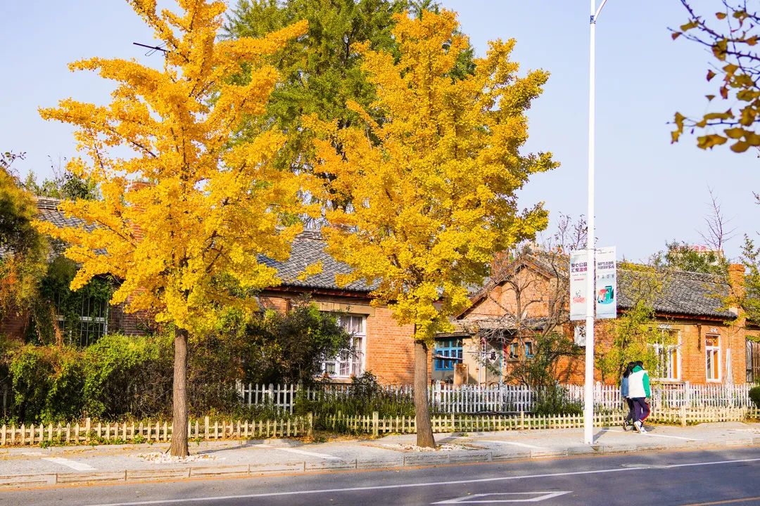 大连打卡影视取景地,大连异域风情的景点