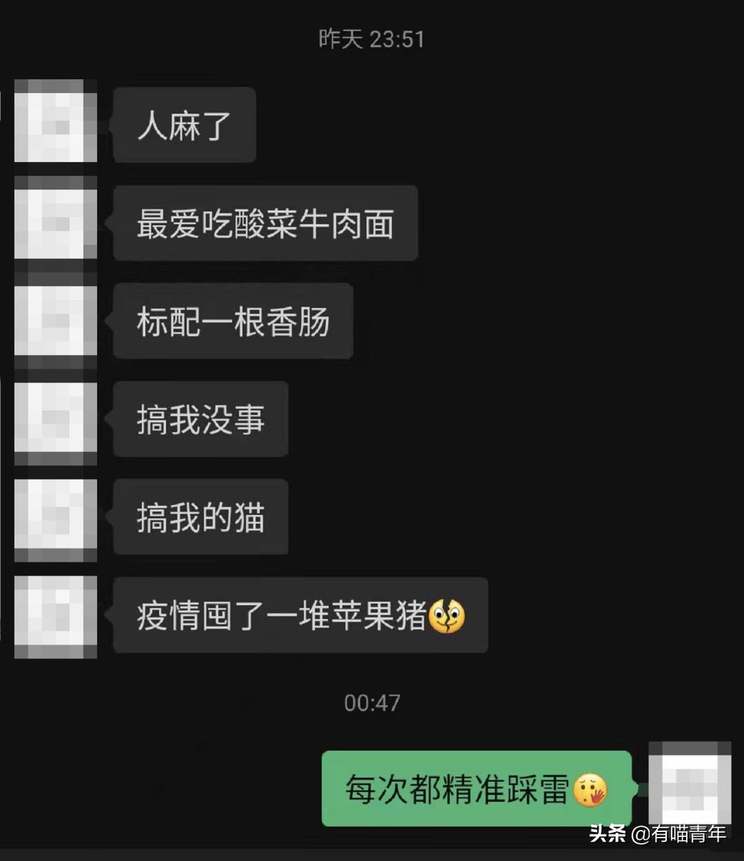 被央视曝光的猫粮,进口猫粮与国产猫粮能掺起来吃吗