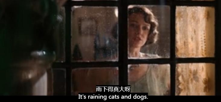 这届学生，开始在宿舍遛“纸狗”了