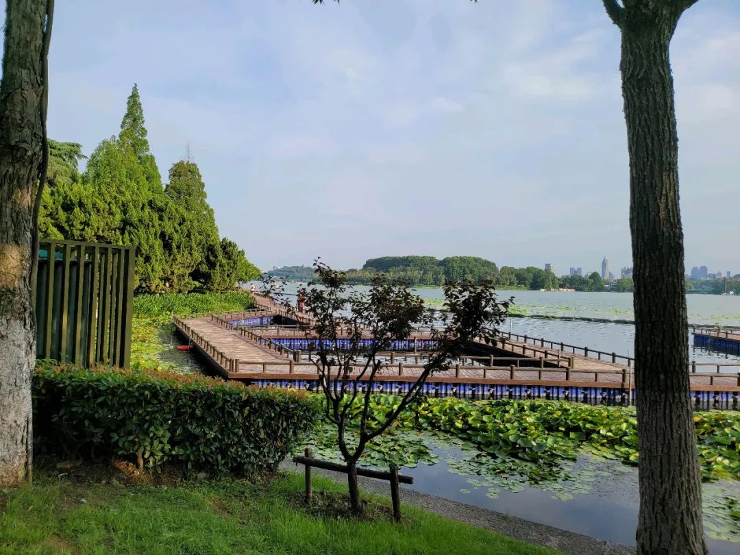 南京人气最高酒吧,南京人气最旺的巷子