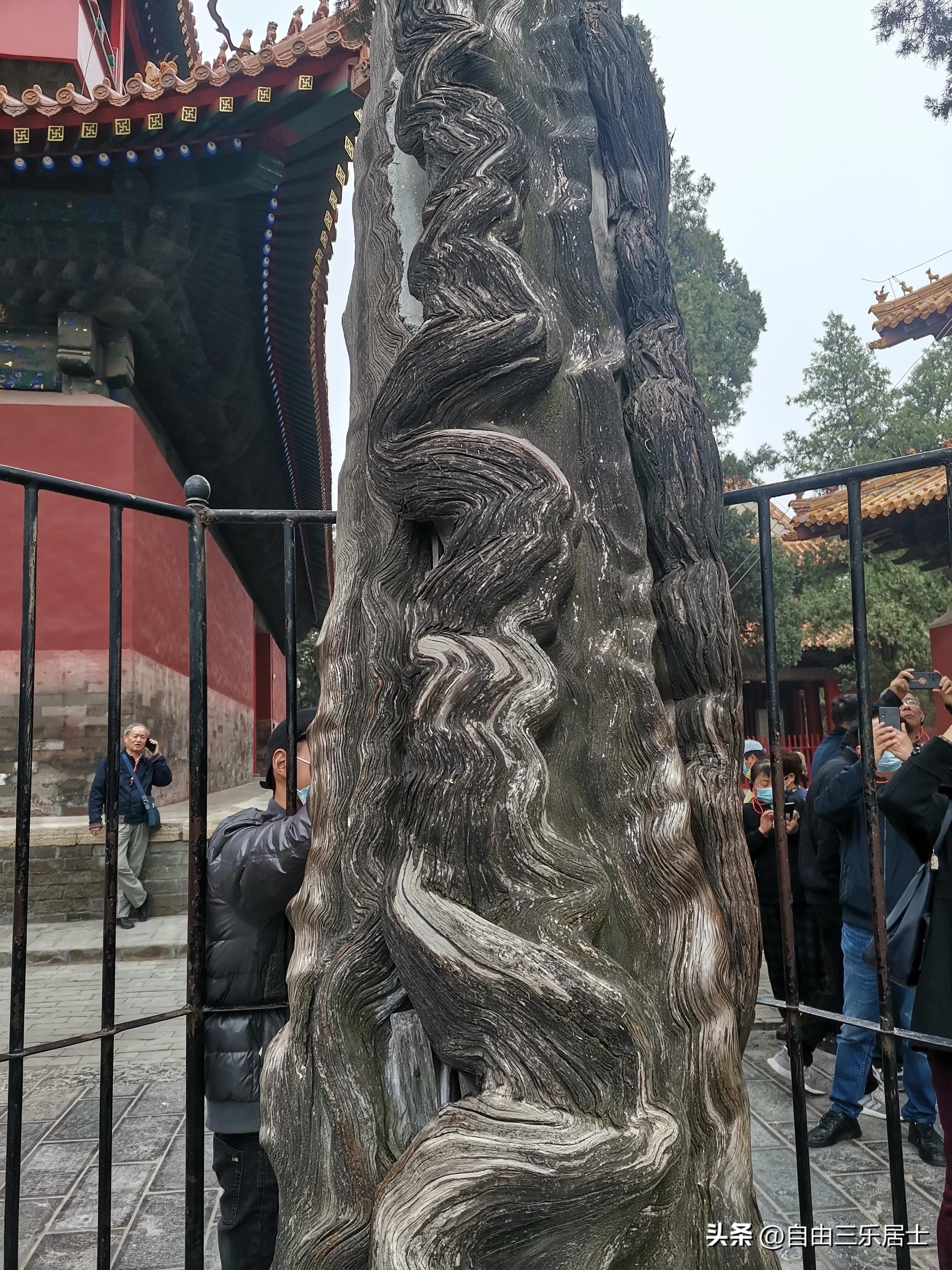 曲阜三孔游记全集,讲好山东故事三孔游记