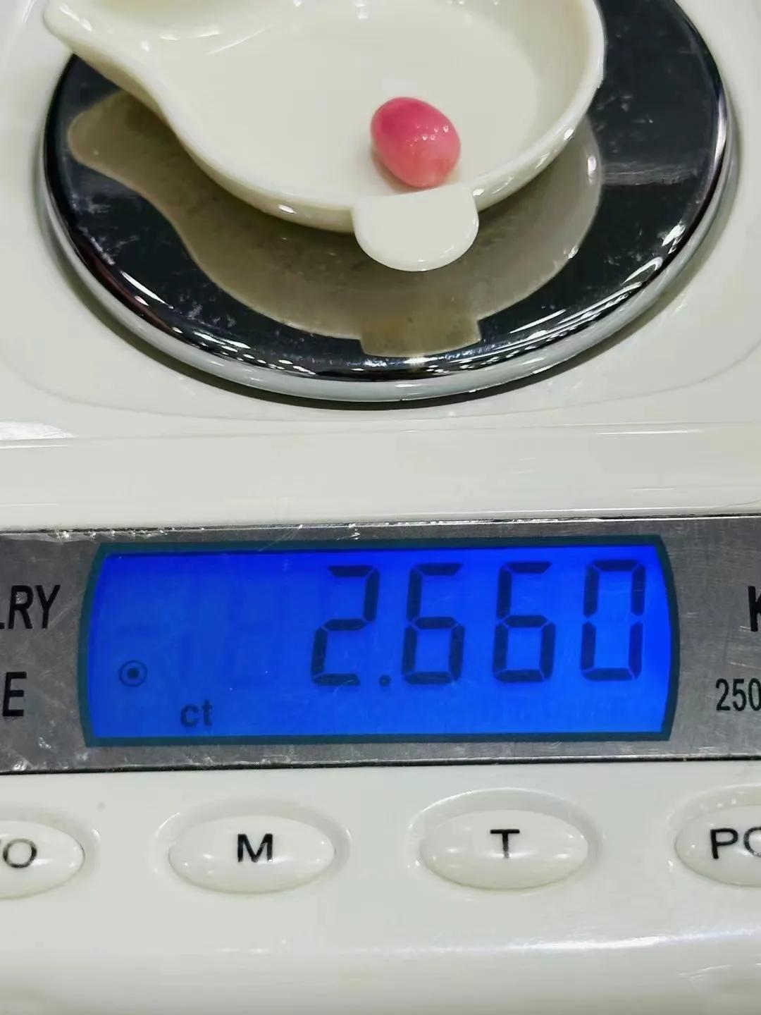 海螺珠价格多少钱一颗,海螺珠珠宝