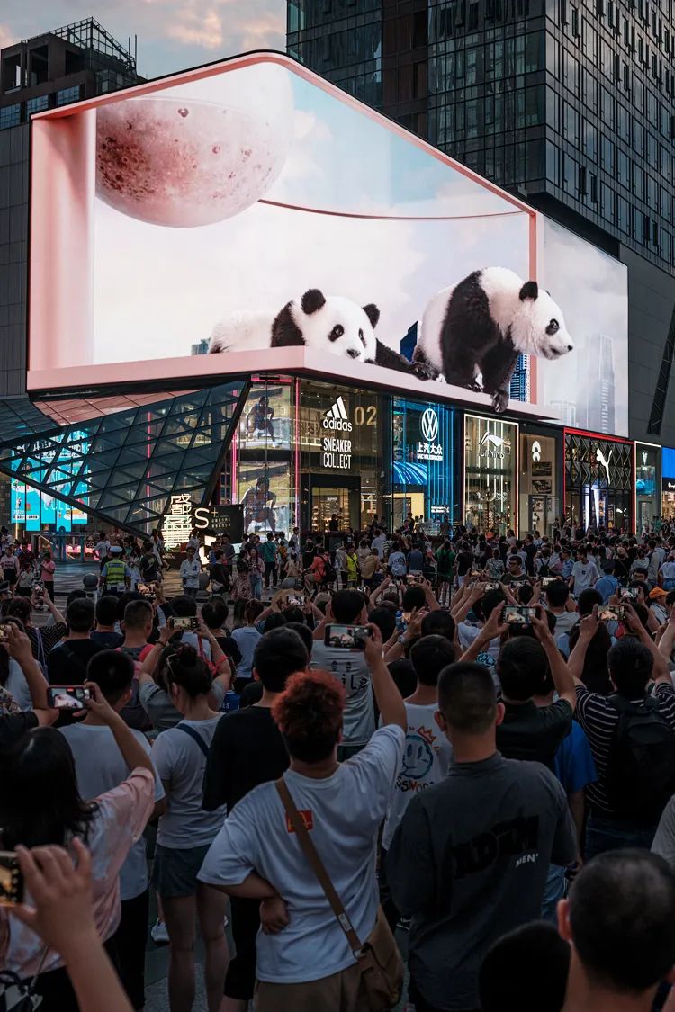 茶馆喝茶是种什么享受,中国喝茶第一大省