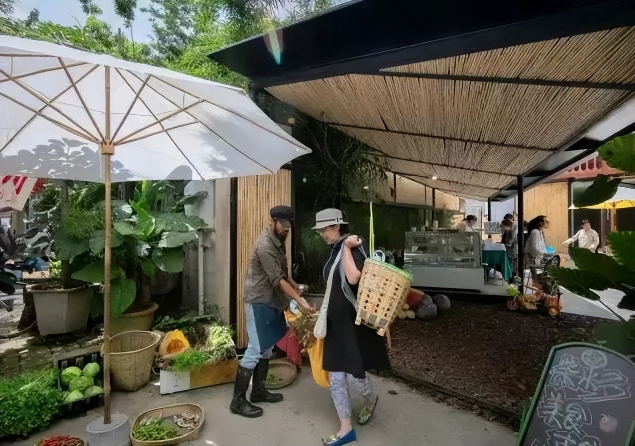 中国乡村改造项目,国内最成功的乡村改造案例