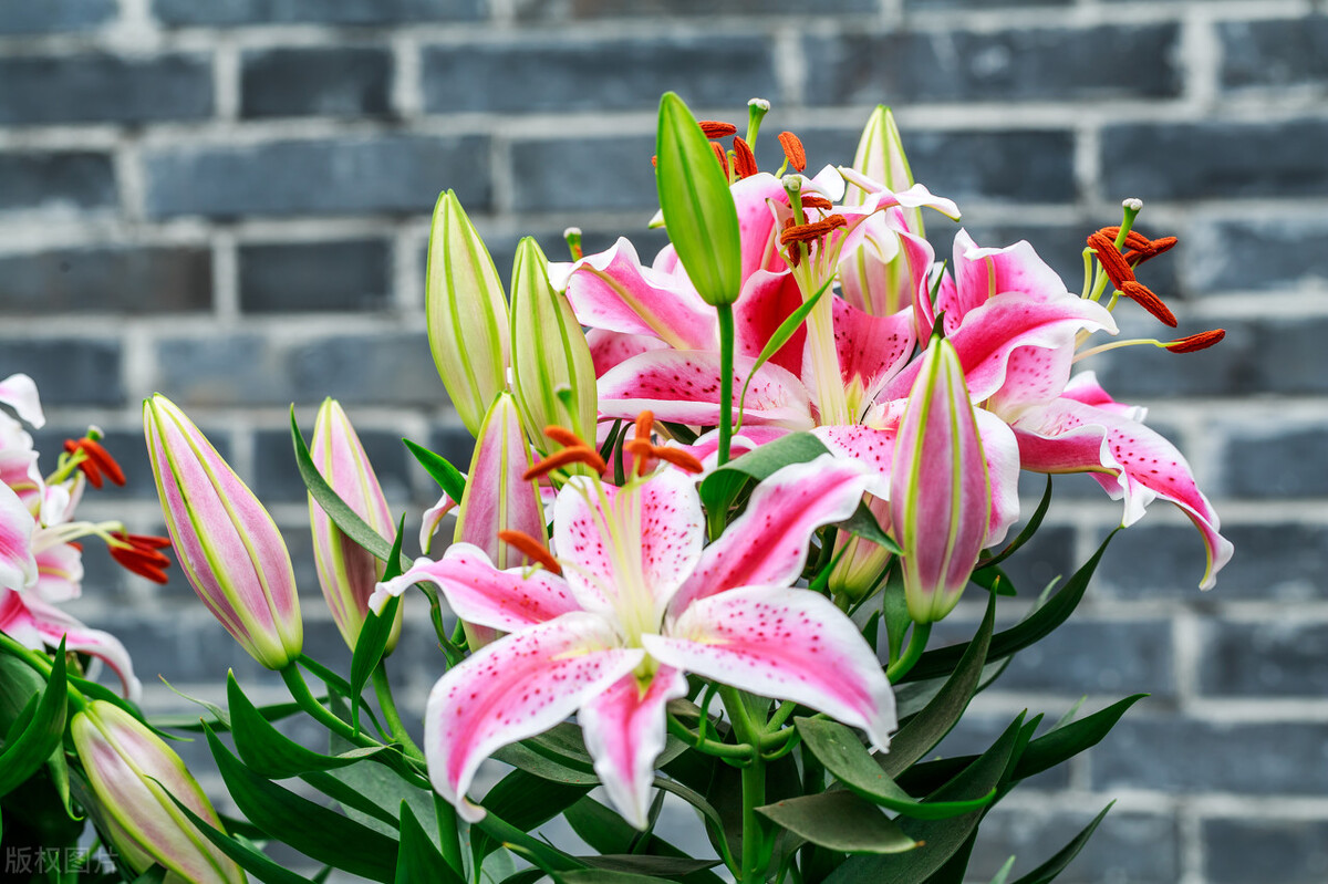 男人爱不爱你看你穿衣就知道,男人爱不爱你看他的态度就知道