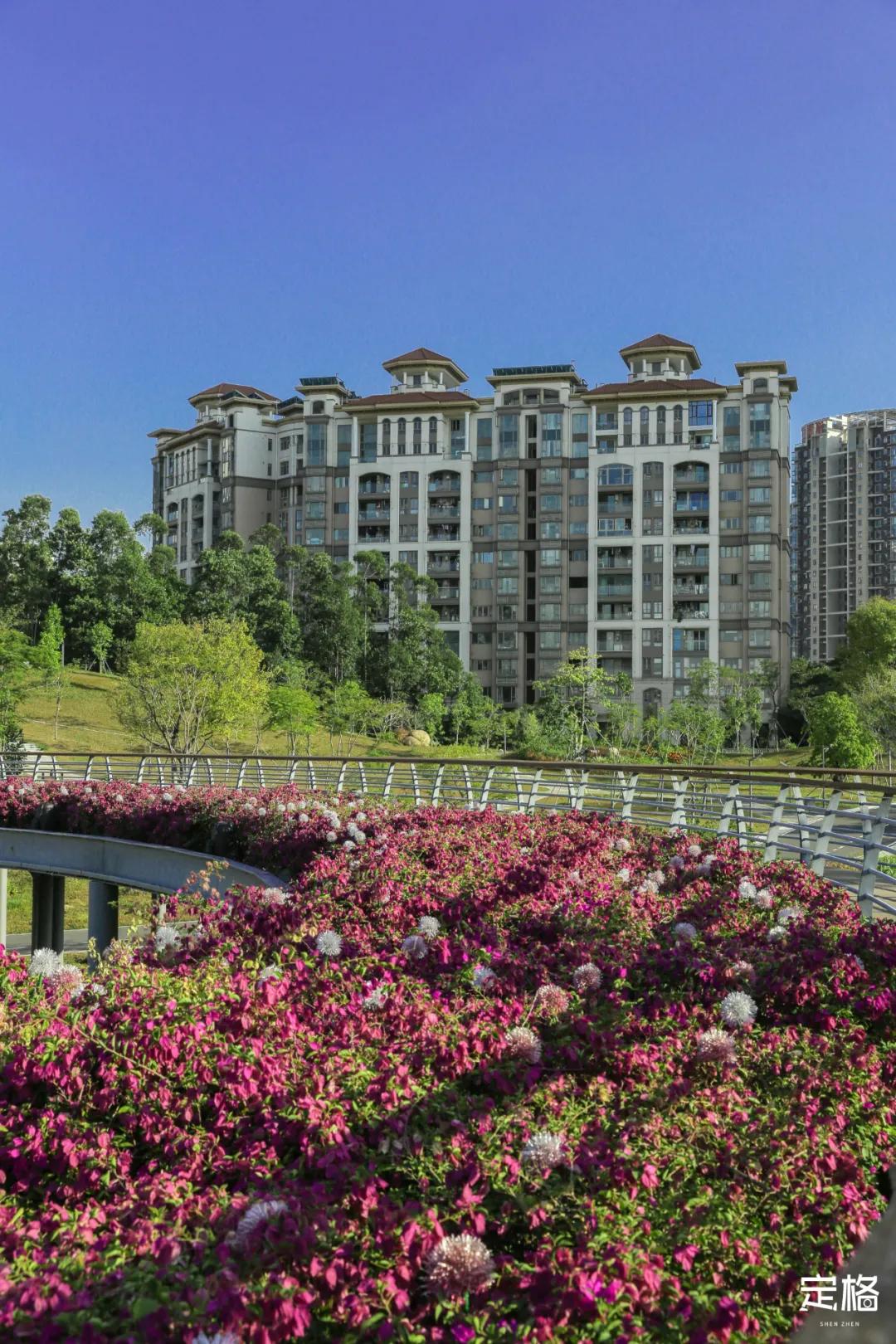 深圳免费好玩的滑梯推荐,深圳摩天滑梯