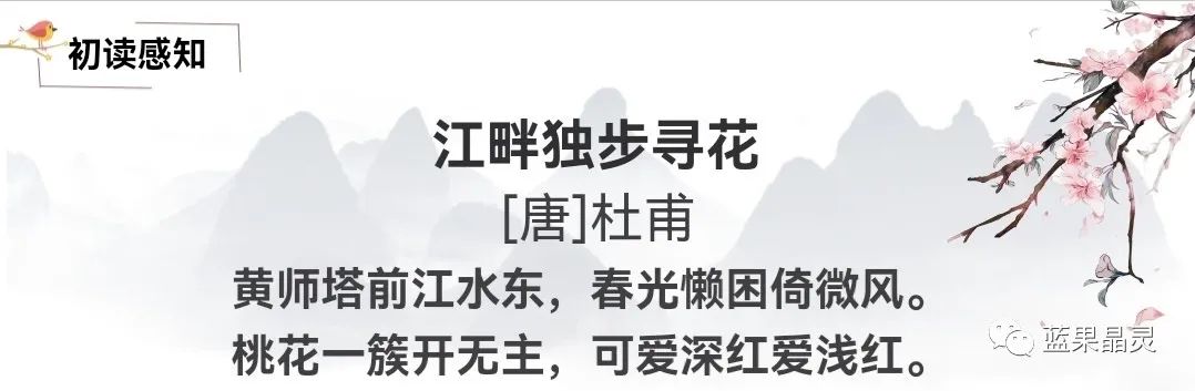 四下语文:第2单元课本内容(复习+练习)