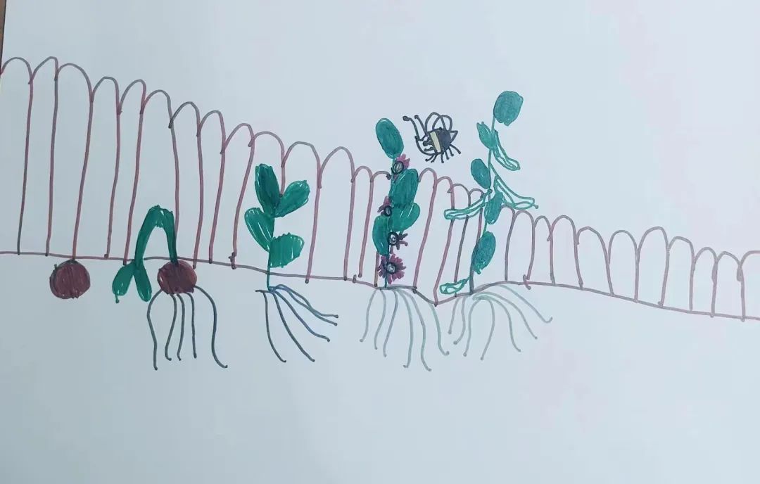 带孩子一起做的项目式学习,带孩子一起做运动操完整版