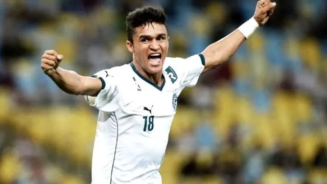 巴甲联赛新星简介,历届巴甲联赛最佳射手